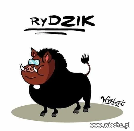 Niech uważa