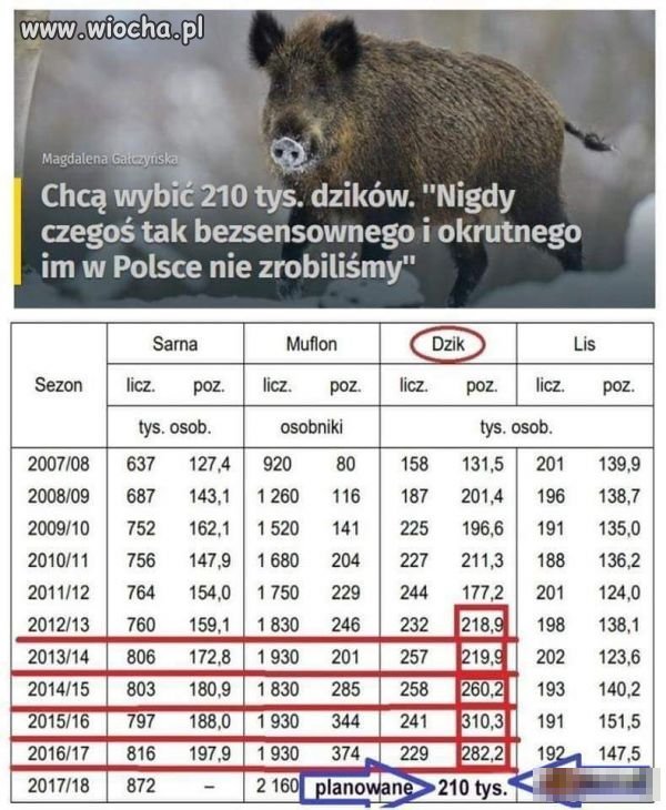 Biedne dziki
