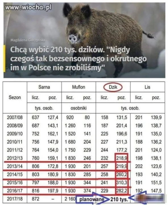 Biedne dziki