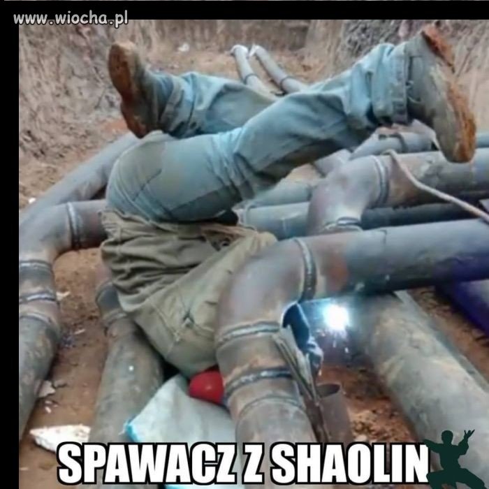 Spec w swoim fachu