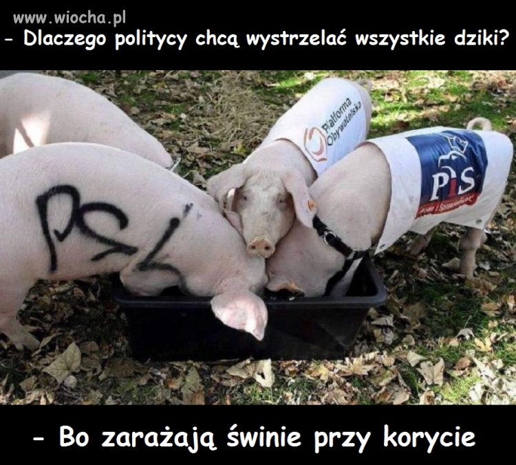 Ekologia rządowa