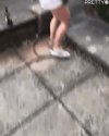 WTF...