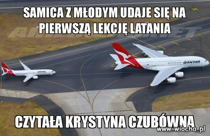 Przyroda 