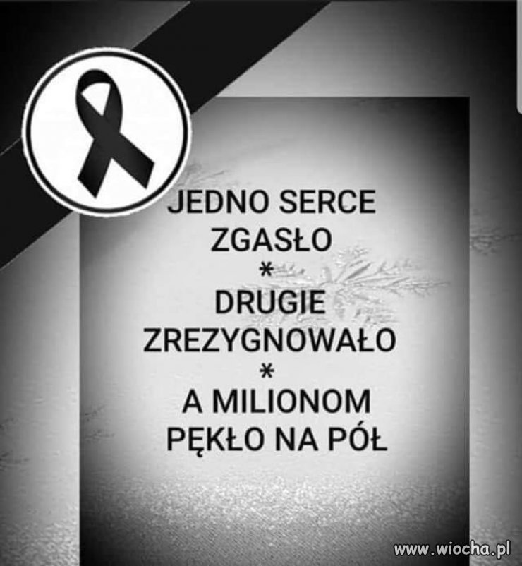 Wierzę, że jak Feniks z popiołu