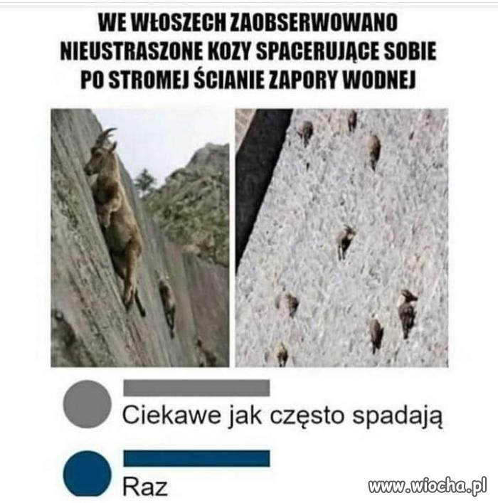 Tylko raz