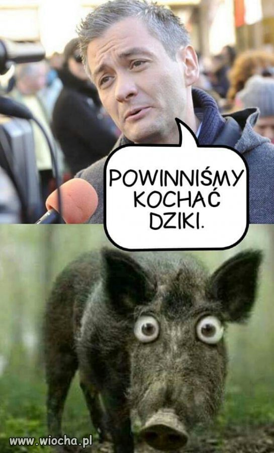 Tak, powinniśmy