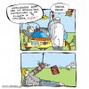 Każdy ma prawo