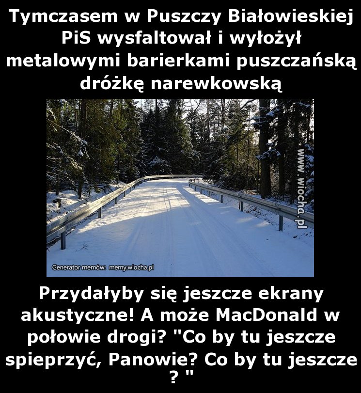 Tymczasem  puszczą nadal ,,ekolodzy " z pisu opiekują..