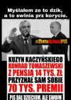Świnie przy korycie
