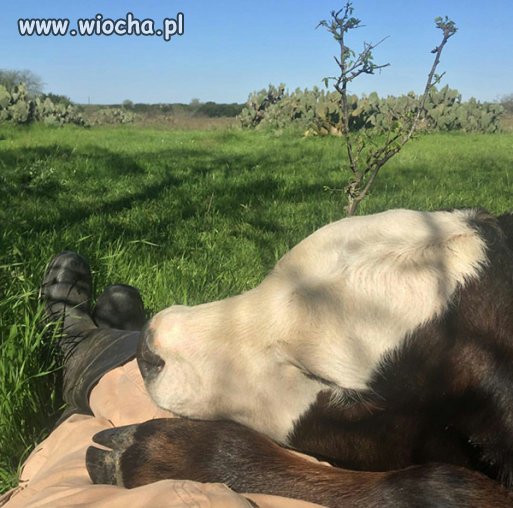 To nie jest opowieść o miłości 