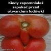 Bez pukania