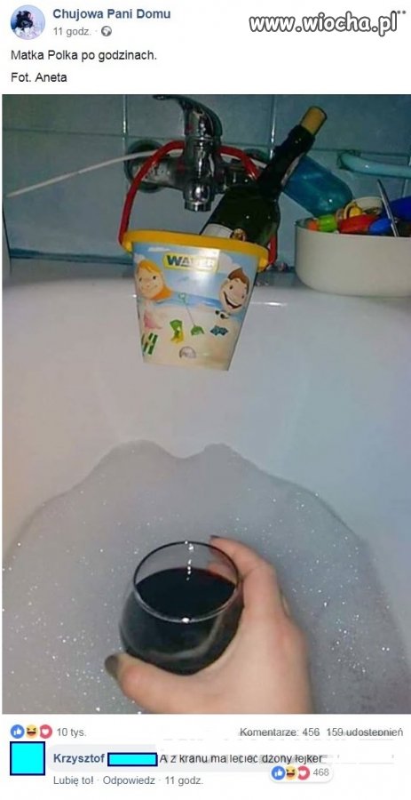 Pani domu