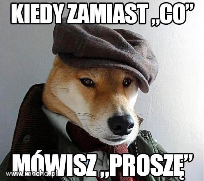Trochę kultury 