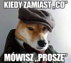 Trochę kultury 