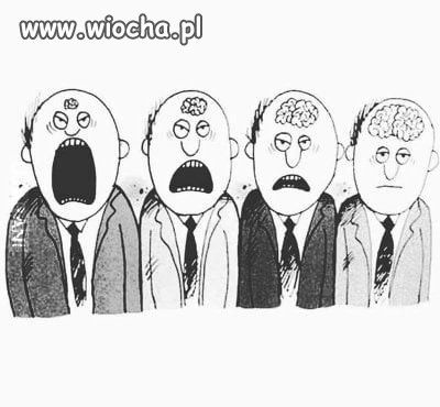 Coś w tym jest