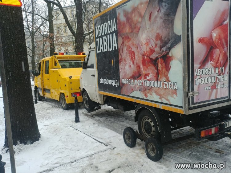 A pro life krzyczy