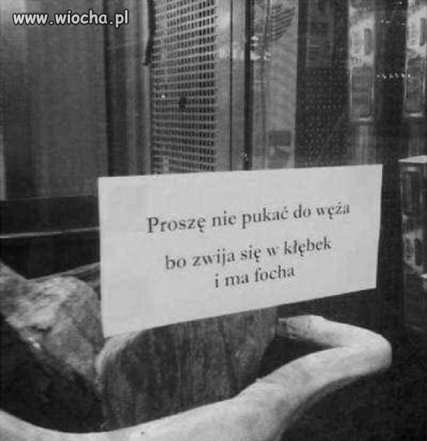 Raz, dwa, trzy...