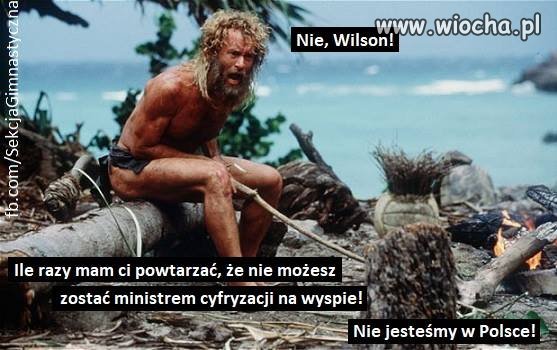Faflun polskim willsonem