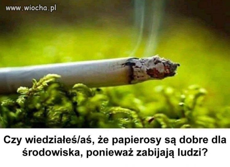 Dobry papierosek