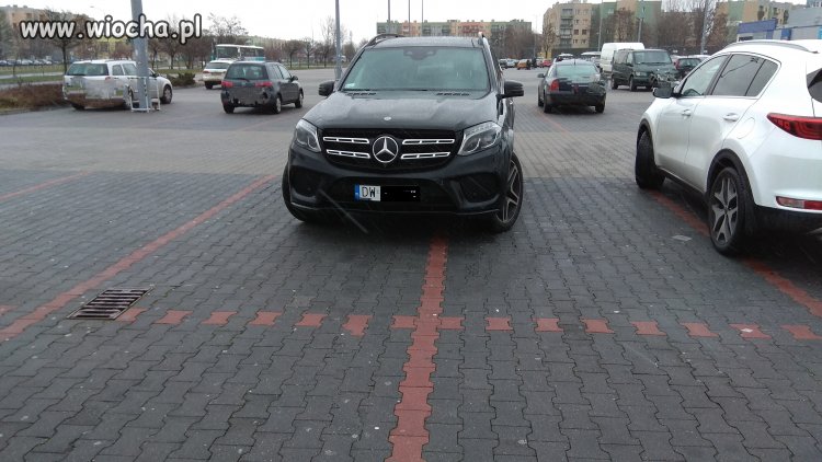 A miszcz parkuje tak 