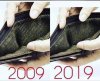 #10YearsChallenge