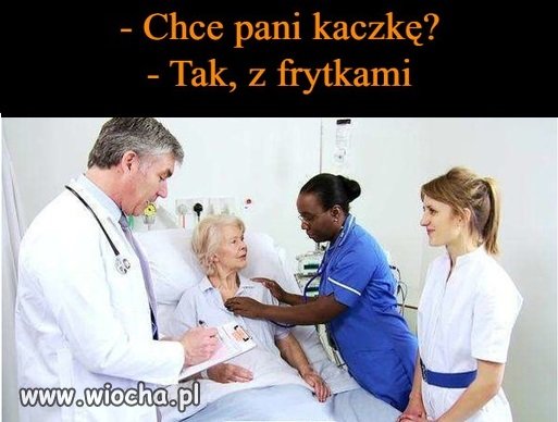Kaczka...