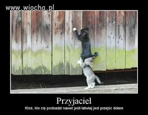 Prawdziwy przyjaciel 