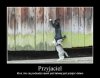 Prawdziwy przyjaciel 