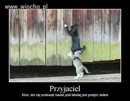 Prawdziwy przyjaciel 
