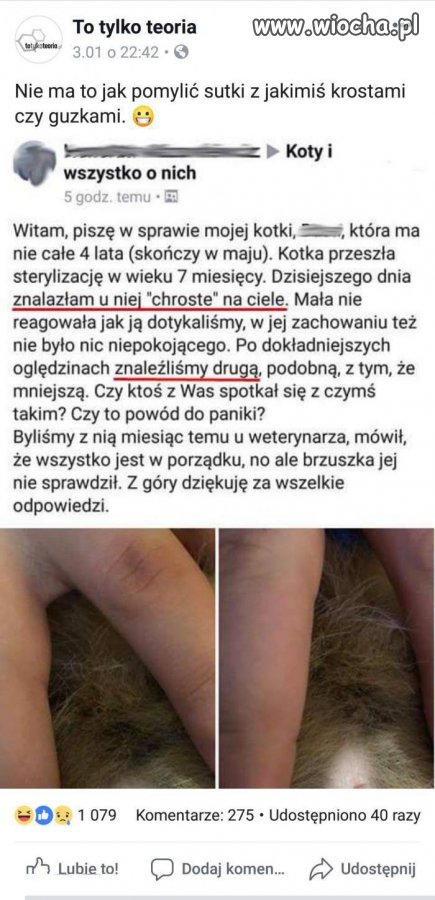 Trzeba ukończyć szkołę podstawową
