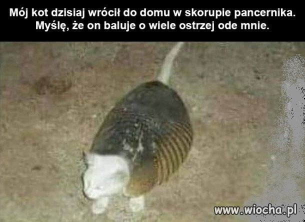 Imprezowy