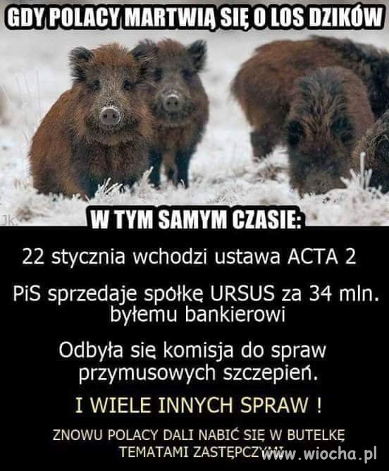 Taka sytuacja. 