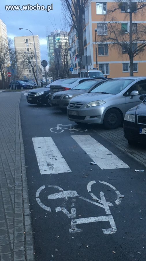 Ścieżka... samochodowa?