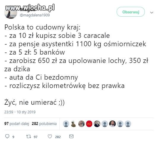 Polska w pigułce
