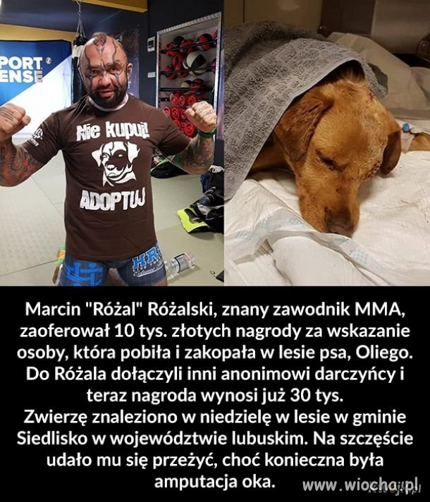Respekt dla Różala