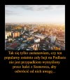 Możliwa przyczyna hejtu na Podlasie