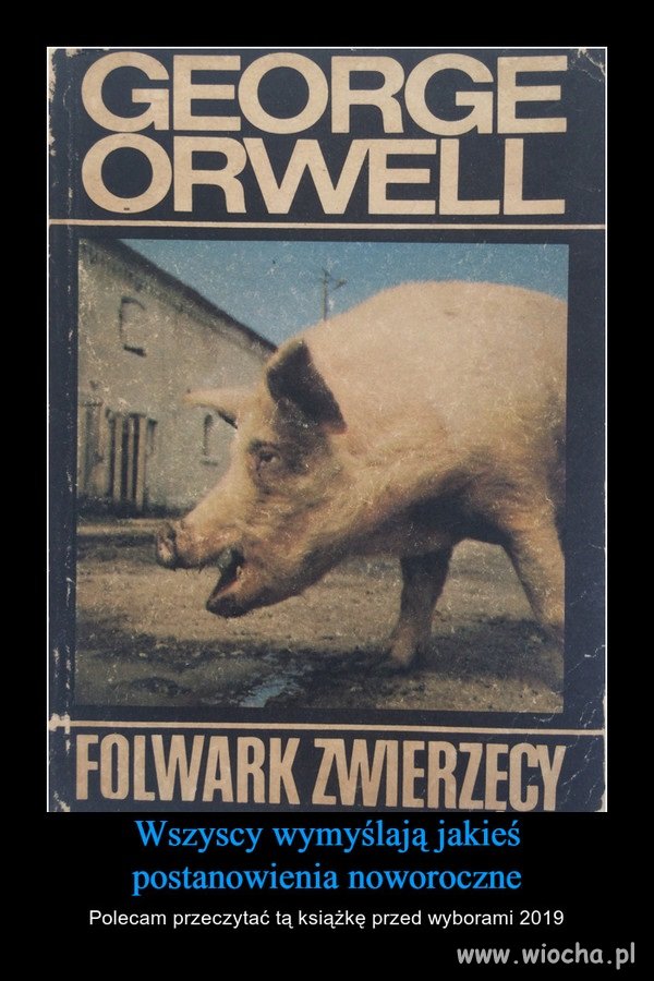 Wszyscy są równi... ale są też równiejsi