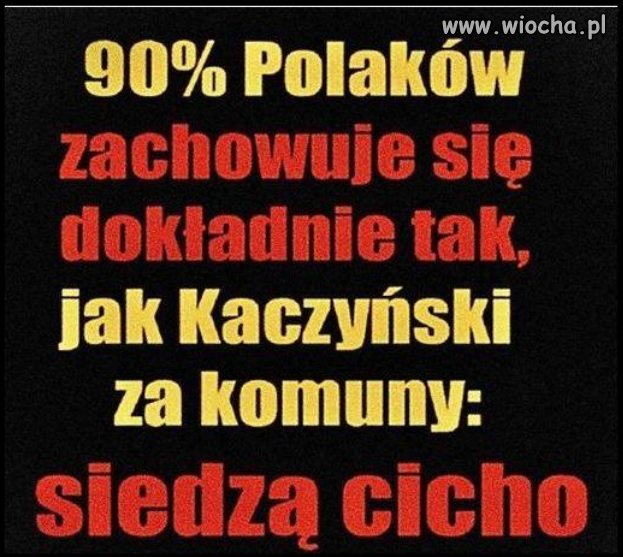 Myszki