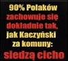 Myszki