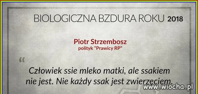 To tylko 