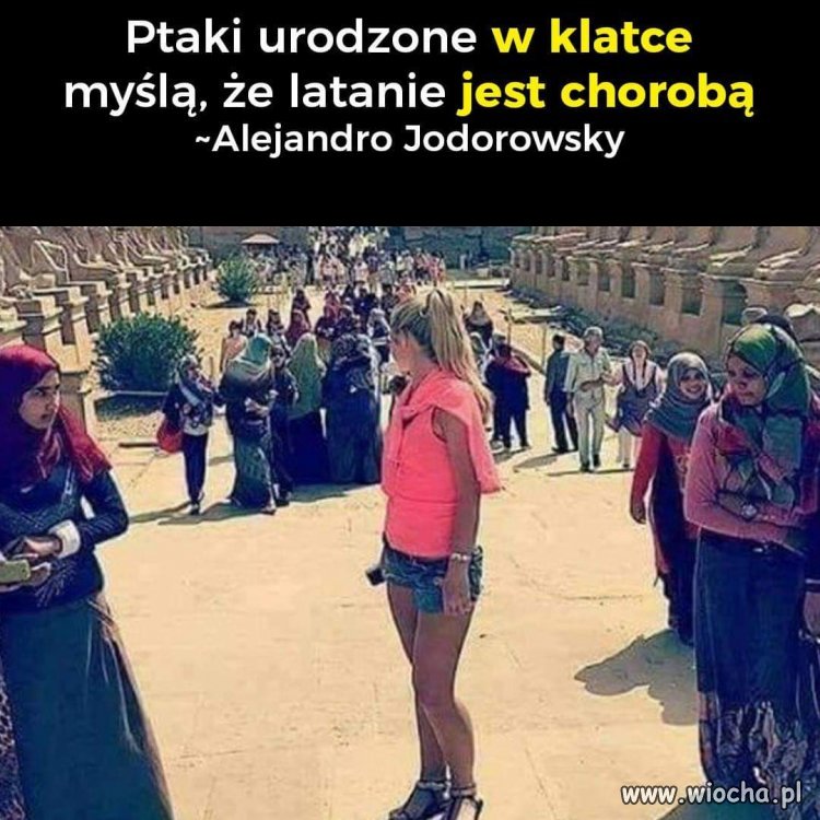 Prawda 