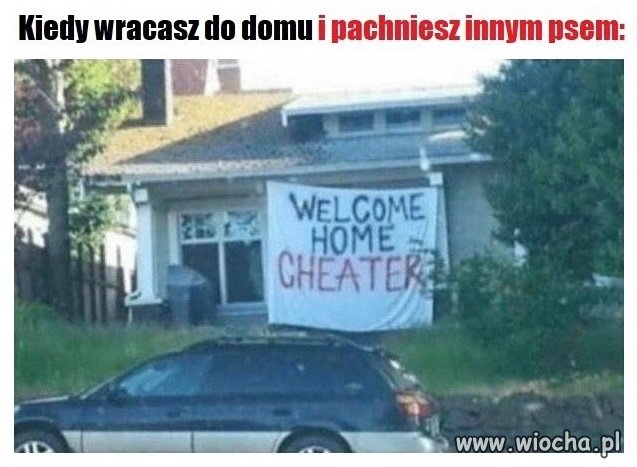 Kiedy wracasz do domu i śmiedzisz innym psem