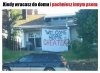 Kiedy wracasz do domu i śmiedzisz innym psem