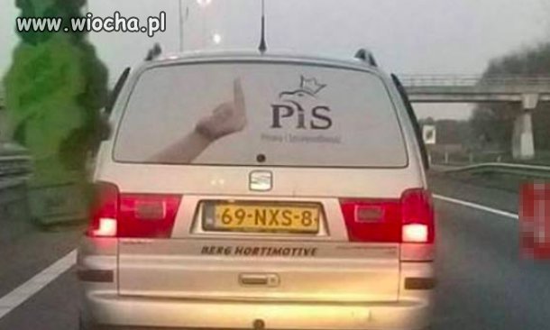 Sympatia do PiS nie zna granic 