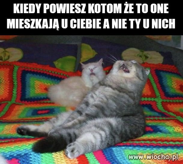 I bez dyskusji