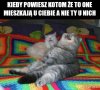 I bez dyskusji