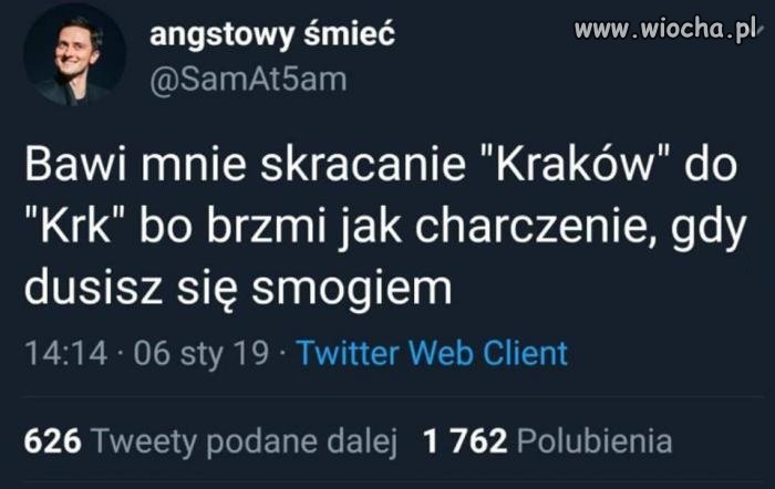 Smog wawelski