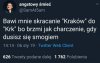 Smog wawelski