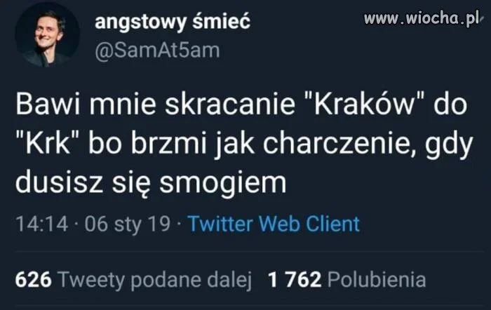Smog wawelski