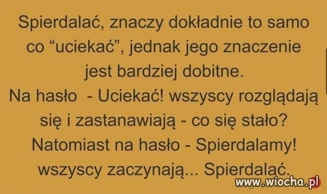 Ciekawostki